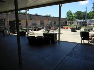 Community Picture